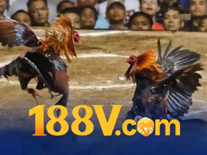 Khái quát từ khóa