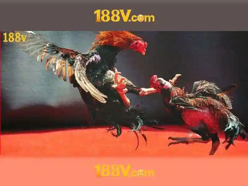 Khái niệm cơ bản về 188v
