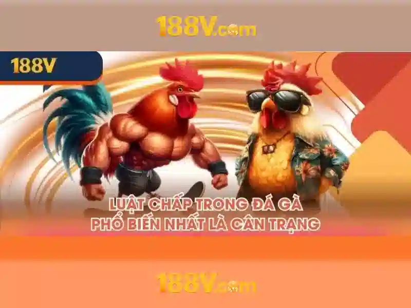 Sản phẩm và dịch vụ chính: ứng dụng thực tế của 188v com tải app