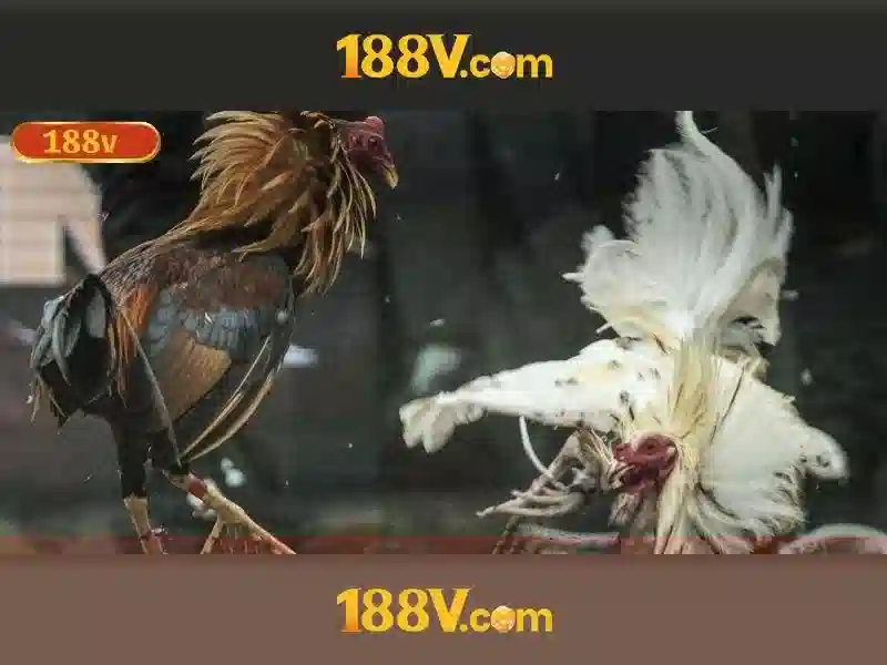 Nguồn gốc và ý nghĩa của 188v