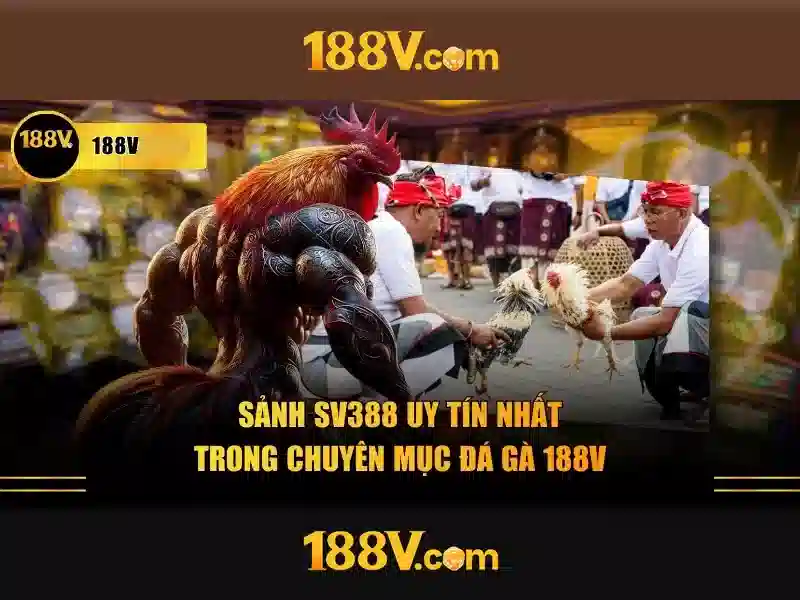 Khám phá 188V: Hiểu biết và ứng dụng