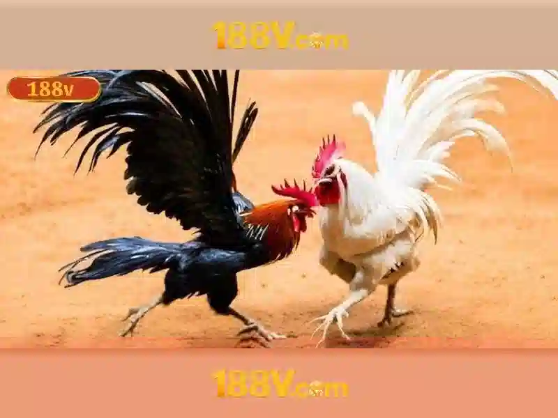 giftcode 188v – Tóm tắt chủ đề và giá trị cốt lõi