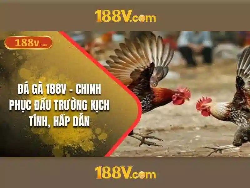 Tương lai của 188v và thách thức