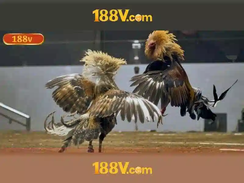 Mẹo chơi bắn cá 3 cây dễ ăn tiền nhà cái