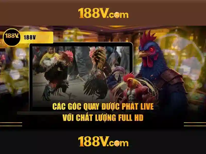 188v com: Định hình thương hiệu và trải nghiệm người dùng