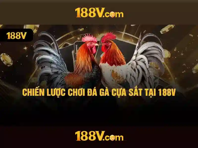 188v nohu – Nền tảng và trải nghiệm eSports