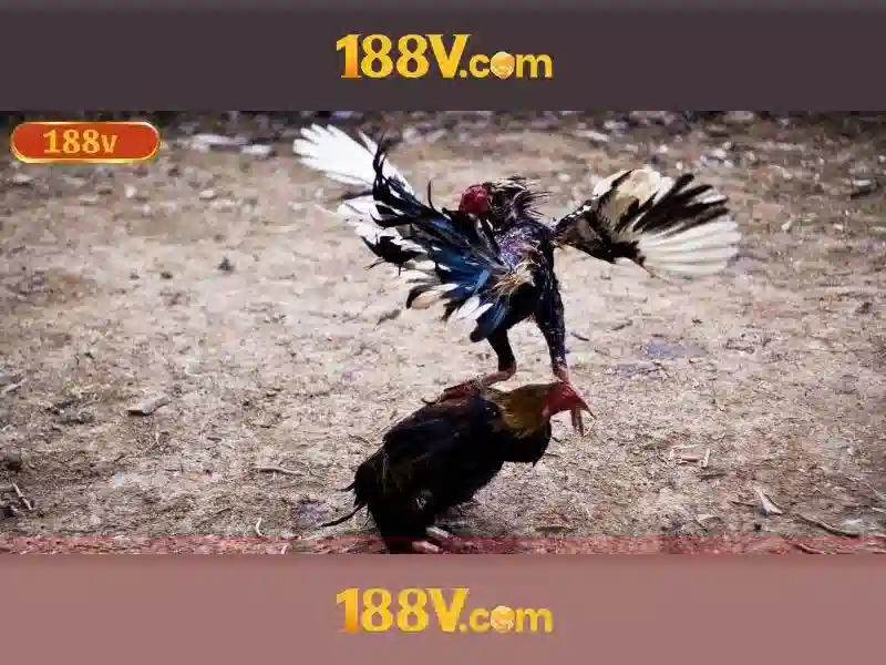 Cấu trúc cơ bản của 188v