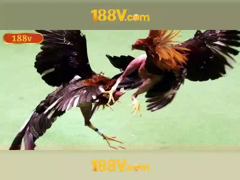 Mẹo chơi bắn cá 3 cây dễ ăn tiền nhà cái