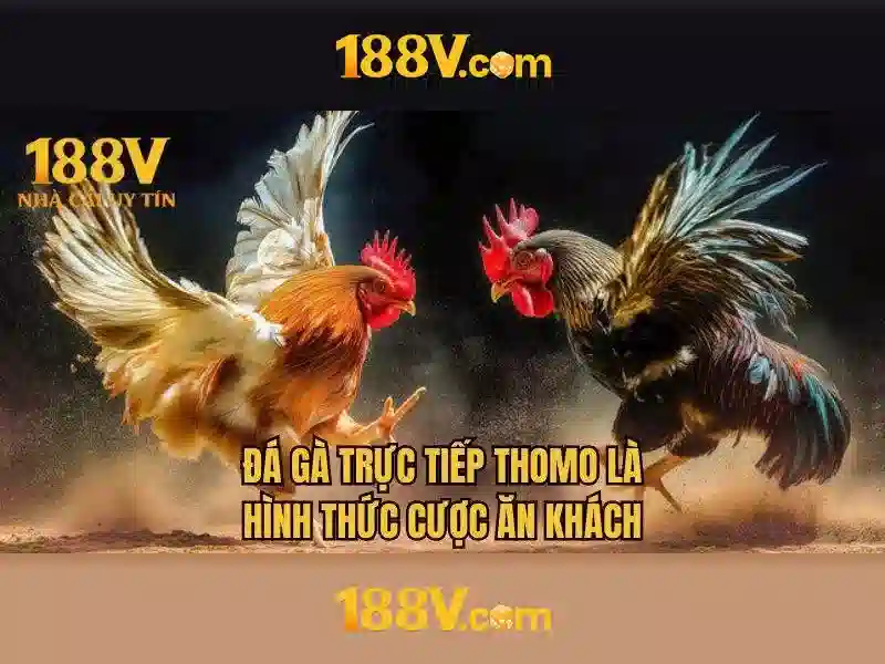 Hướng phát triển và kết luận