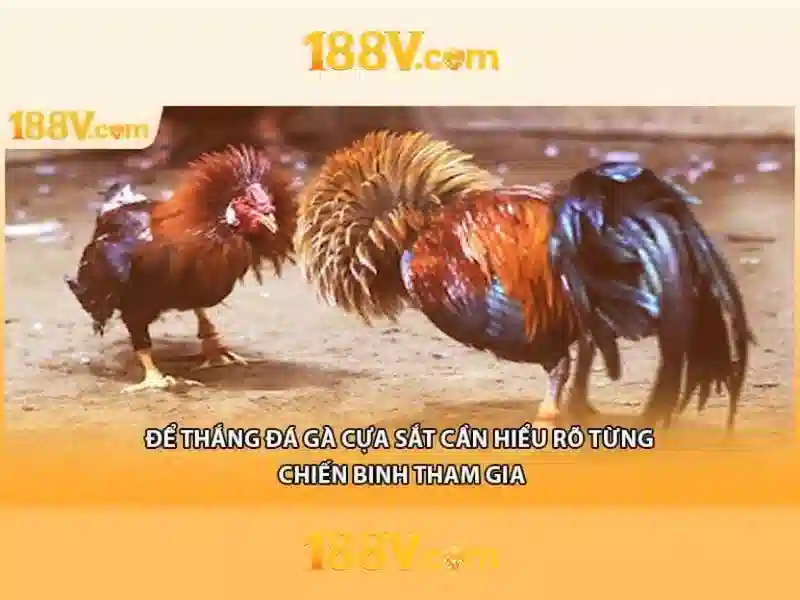 Mẹo chơi bắn cá 3 cây dễ ăn tiền nhà cái