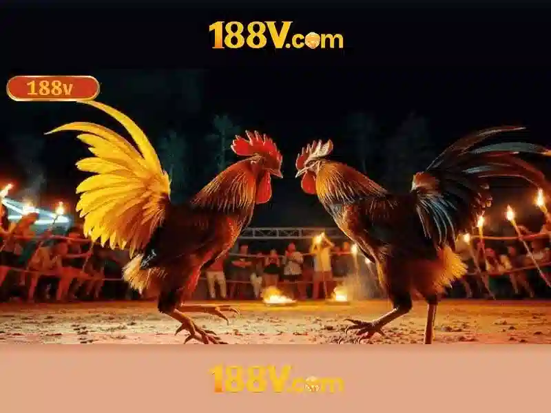 Sản phẩm và dịch vụ cốt lõi của 188v nhà cái