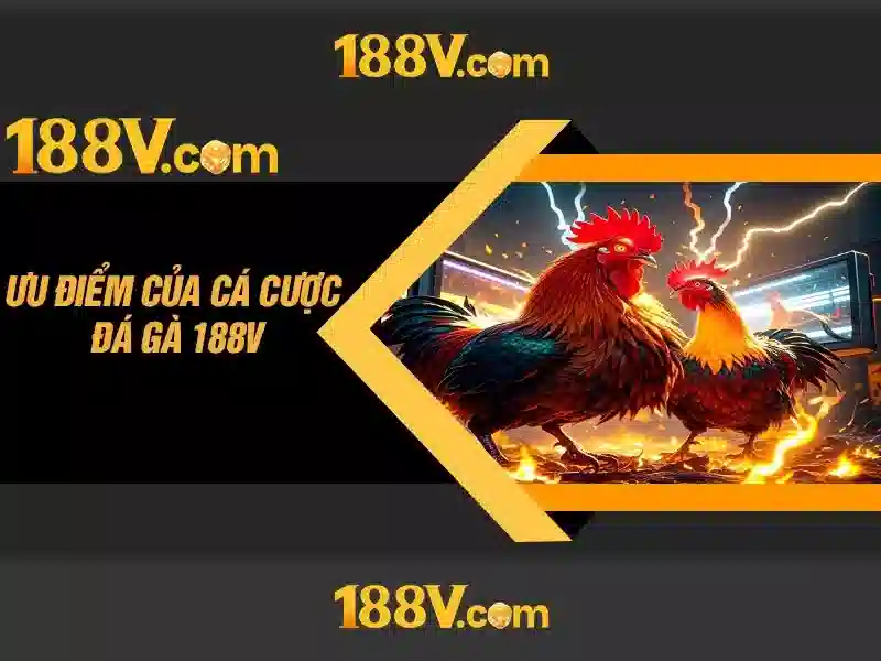 Kết nối giữa con số và cuộc sống
