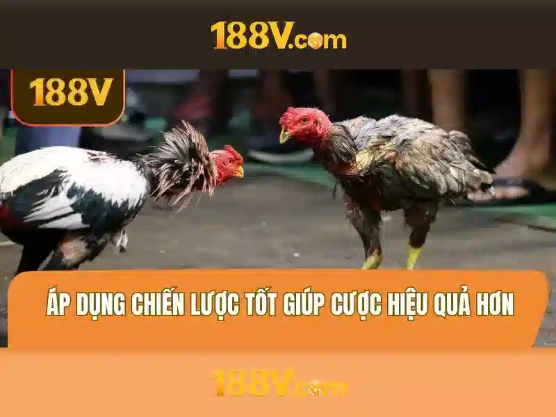 Khám phá 188v: khái niệm và ứng dụng