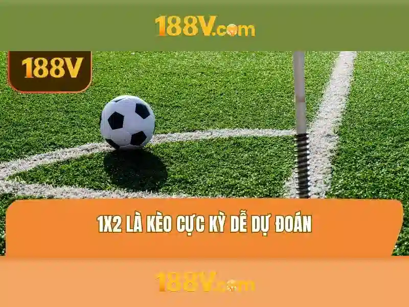 Lĩnh vực tiềm năng và an toàn