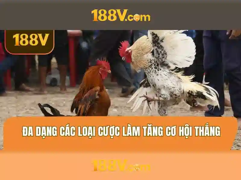 Ảnh hưởng xã hội và tương lai của 188v