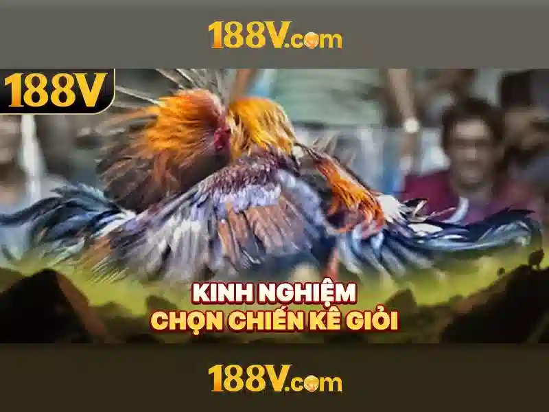 Mẹo chơi bắn cá 3 cây dễ ăn tiền nhà cái