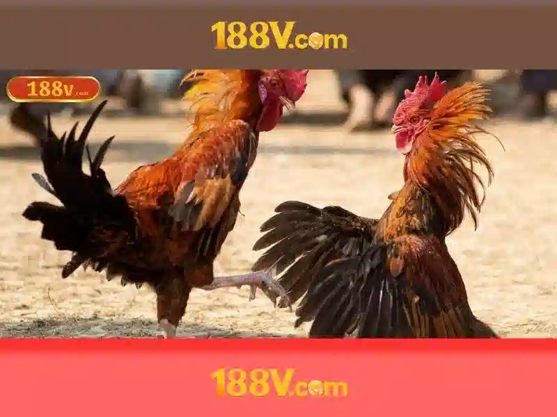 Mẹo chơi bắn cá 3 cây dễ ăn tiền nhà cái