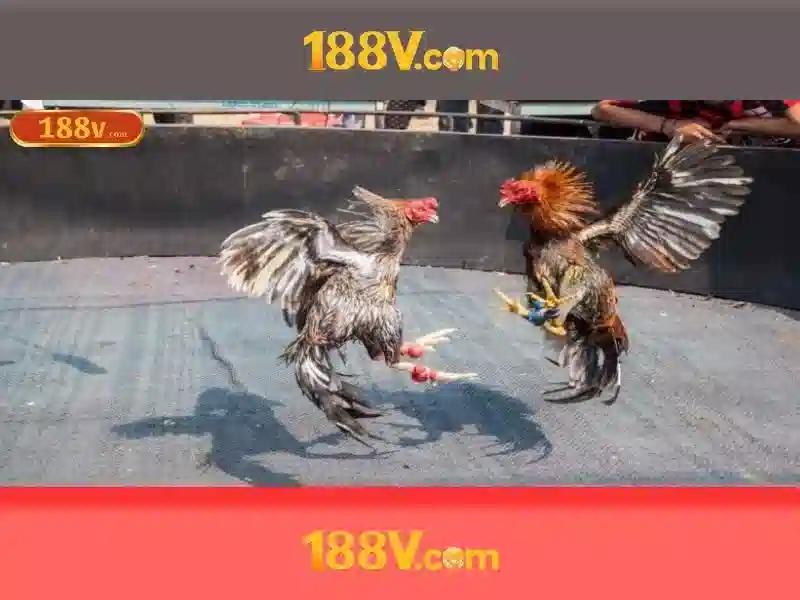 Mẹo chơi bắn cá 3 cây dễ ăn tiền nhà cái