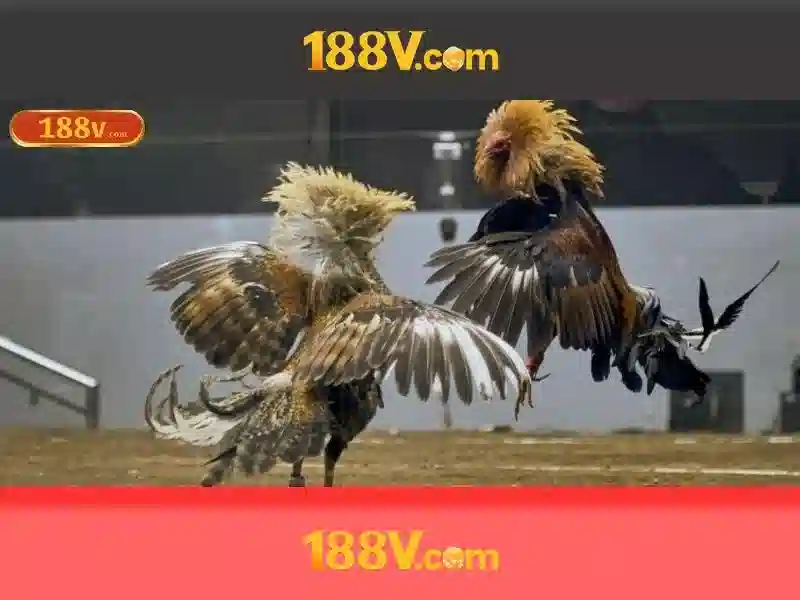 Ứng dụng và tác động