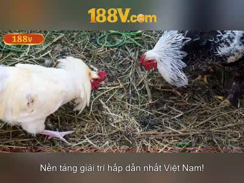 188v: một khái niệm về điện áp và ứng dụng