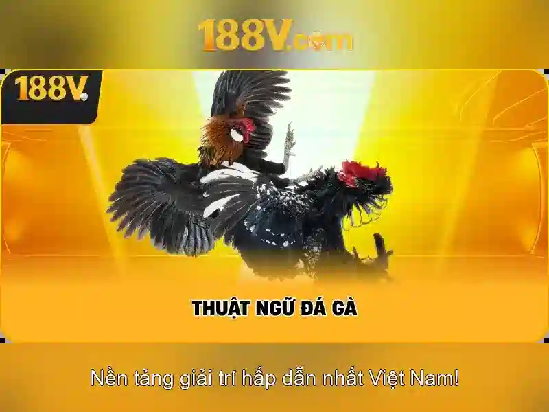 Mẹo chơi bắn cá 3 cây dễ ăn tiền nhà cái