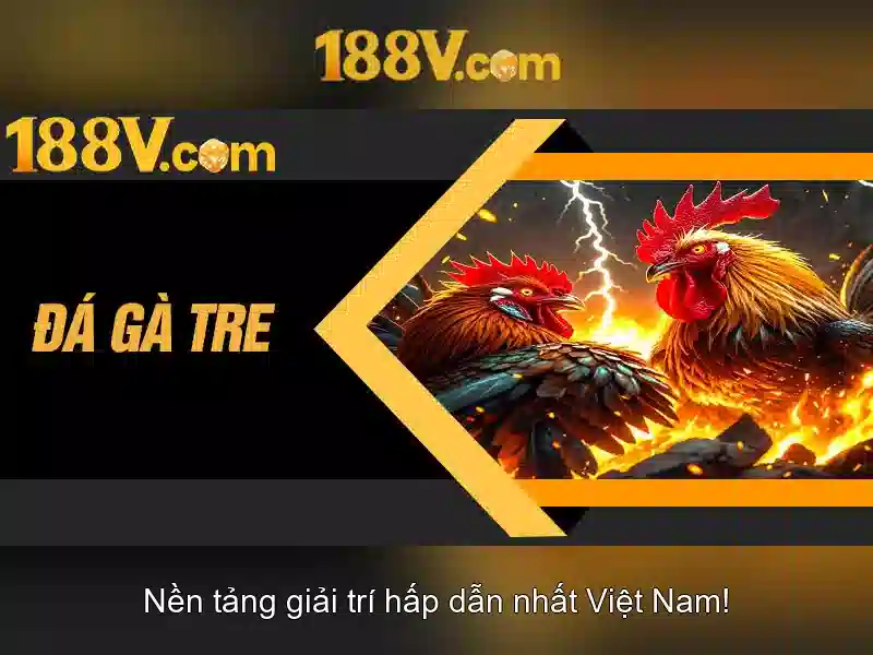 So sánh với các khái niệm liên quan\n<h2 class=