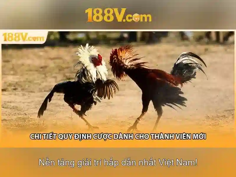 188v: Nền tảng công nghệ và tương lai số