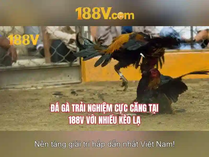 188v là một khái niệm công nghệ và văn hóa mở