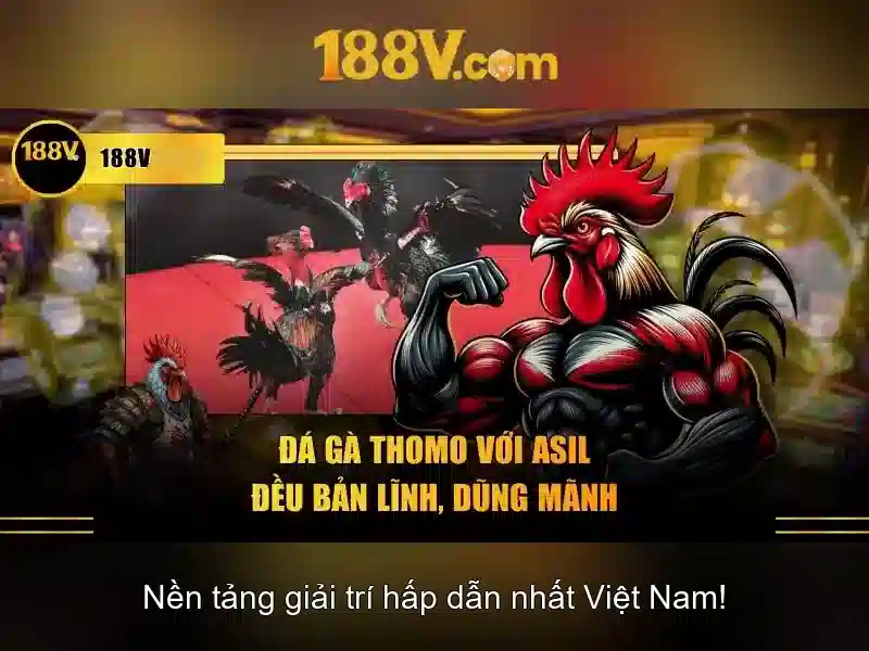 Khám phá 188V: công nghệ và lịch sử của một mô hình cổ điển