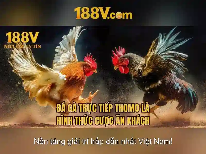 Trải nghiệm người dùng và phản hồi cộng đồng