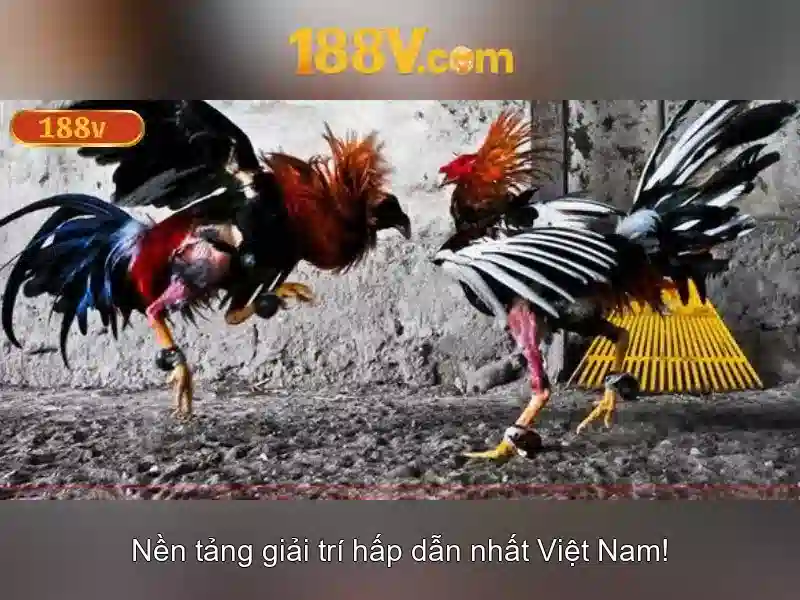 188v và hành trình của một ký hiệu số