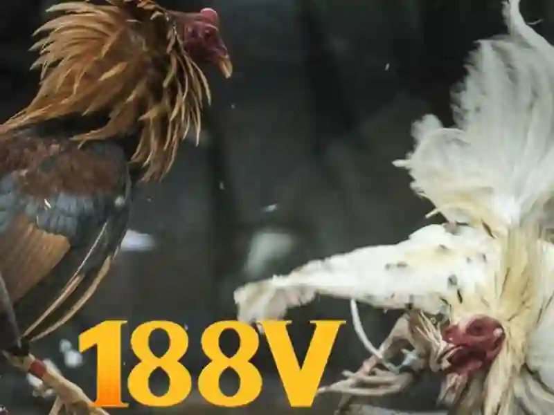 Khái niệm 188v và hành trình của nó