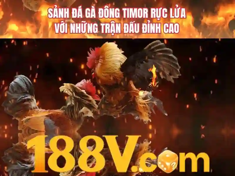 Trải nghiệm người dùng và phản hồi cộng đồng