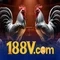 188v 188vv com vn – Trải nghiệm và đánh giá chân thực